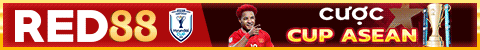 top banner